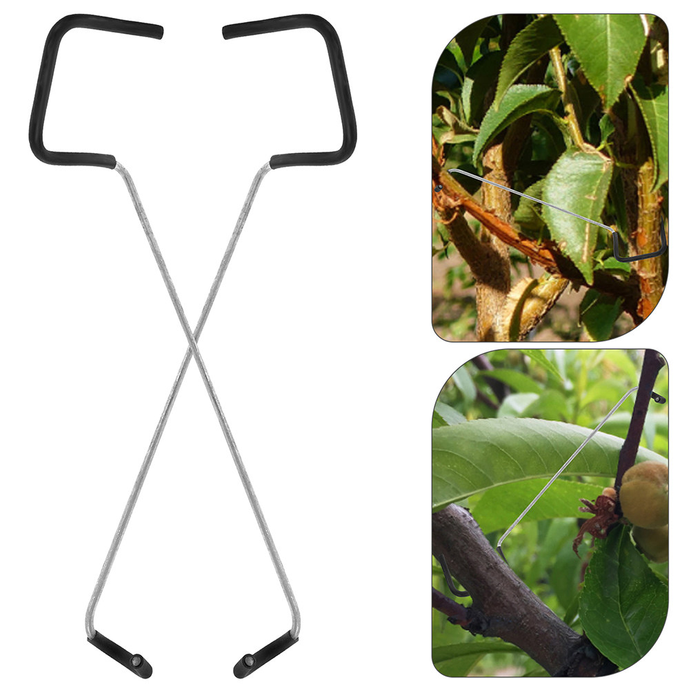 Bonsai Garden Tree - Bonsai Branch Trunk Trainer 10pcs Fruit