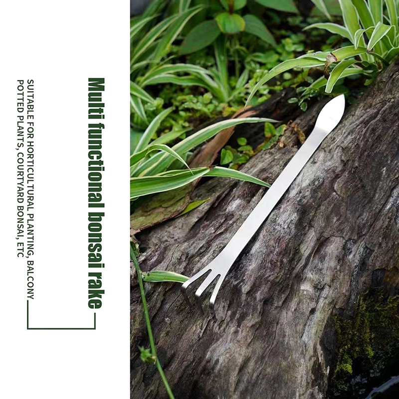 1Pc Stainless Steel Root Rake  - đánh giá và giá Bonsai Garden Tree