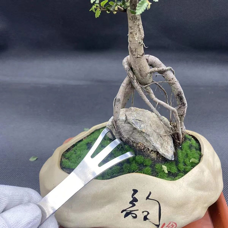 1Pc Stainless Steel Root Rake  - đánh giá và giá Bonsai Garden Tree
