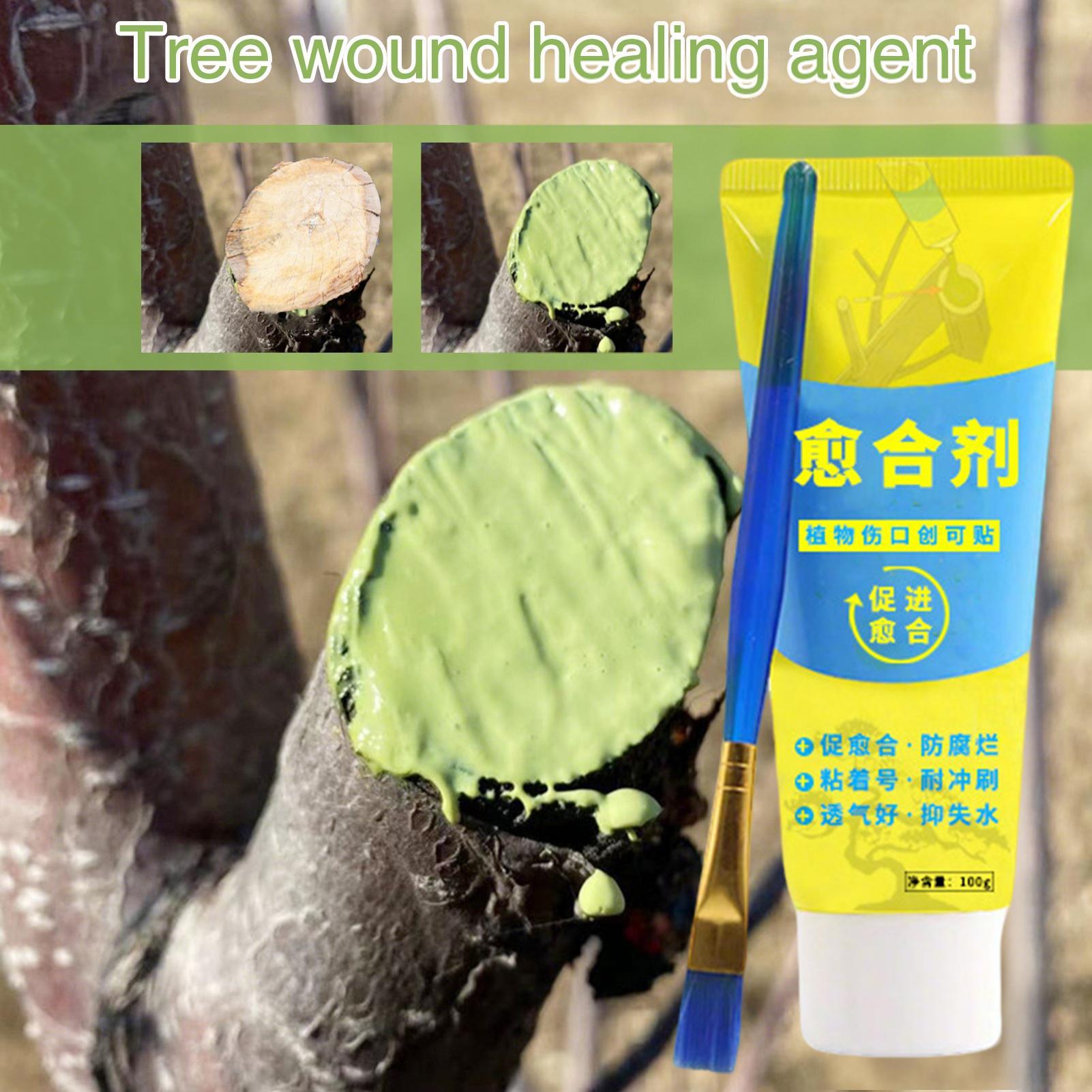 100g Tree Wound Paste Smear Ag - đánh giá và giá Bonsai Garden Tree