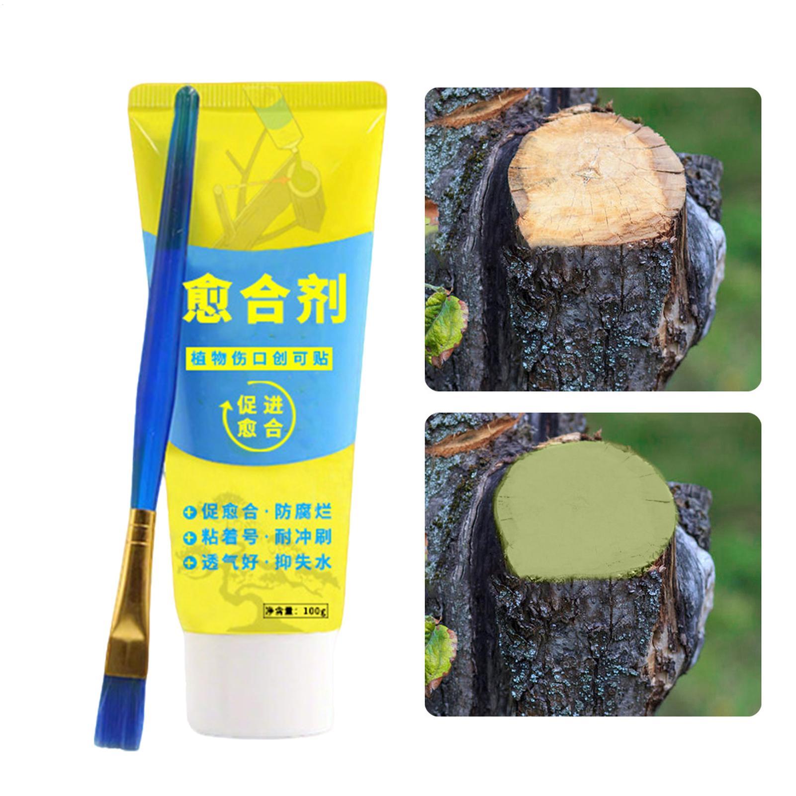 100g Tree Wound Paste Smear Ag - đánh giá và giá Bonsai Garden Tree
