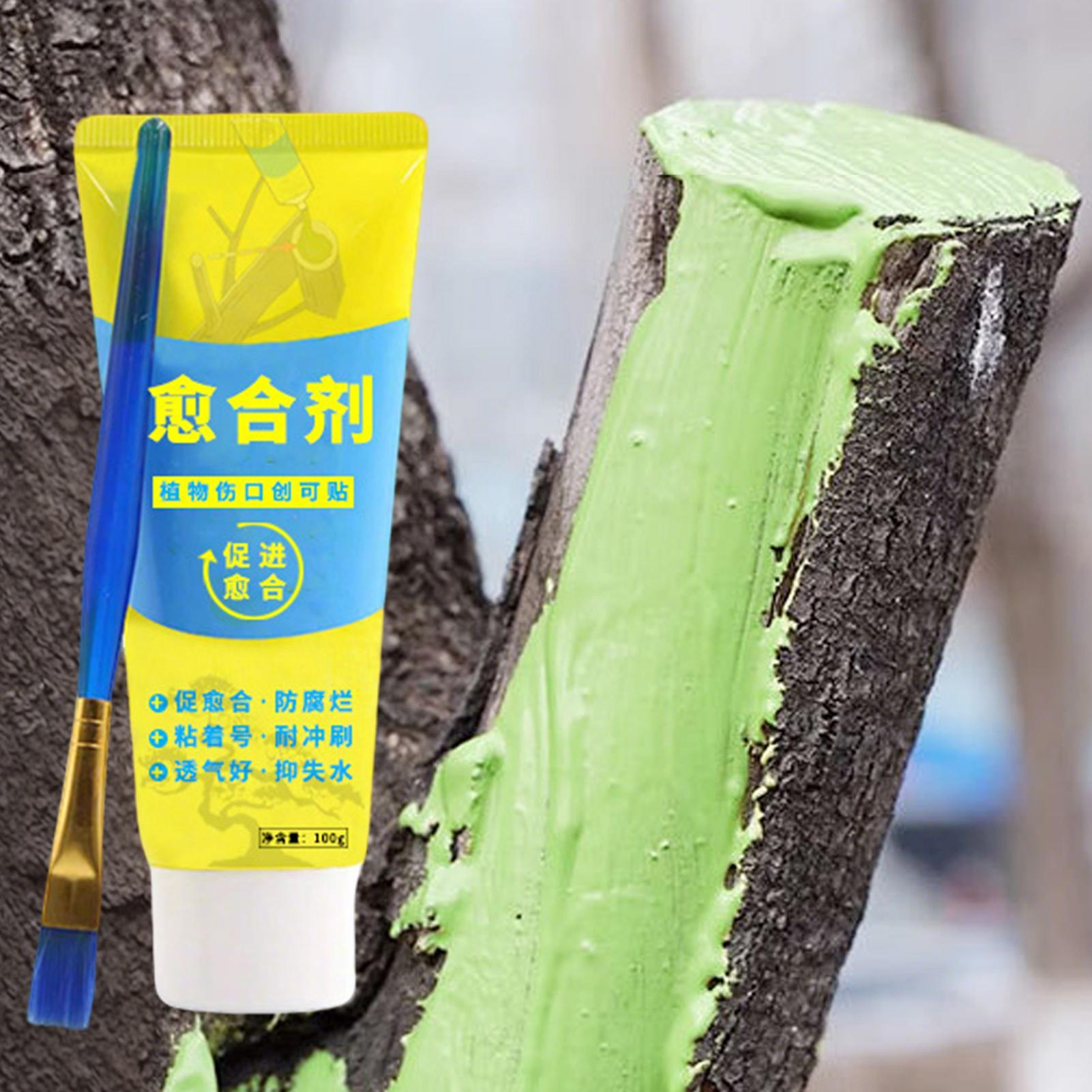 100g Tree Wound Paste Smear Ag - đánh giá và giá Bonsai Garden Tree