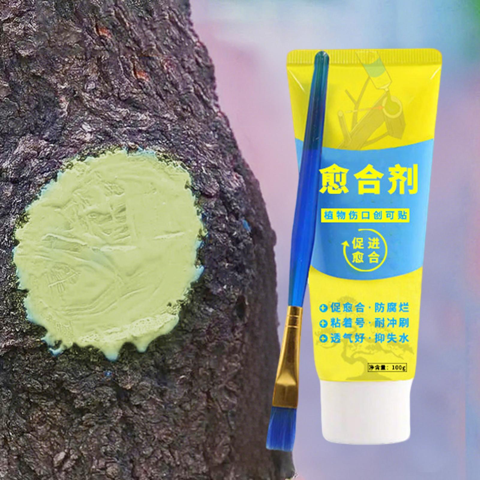 100g Tree Wound Paste Smear Ag - đánh giá và giá Bonsai Garden Tree