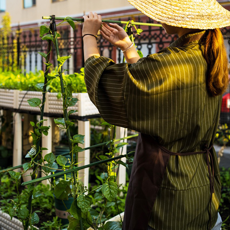 Plant Stakes Gardening Pillar  - đánh giá và giá Bonsai Wire Aluminum