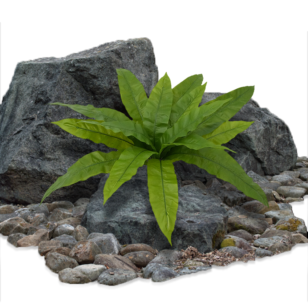 Large Artificial Ferns with 15 - đánh giá và giá Bonsai Garden Entrance