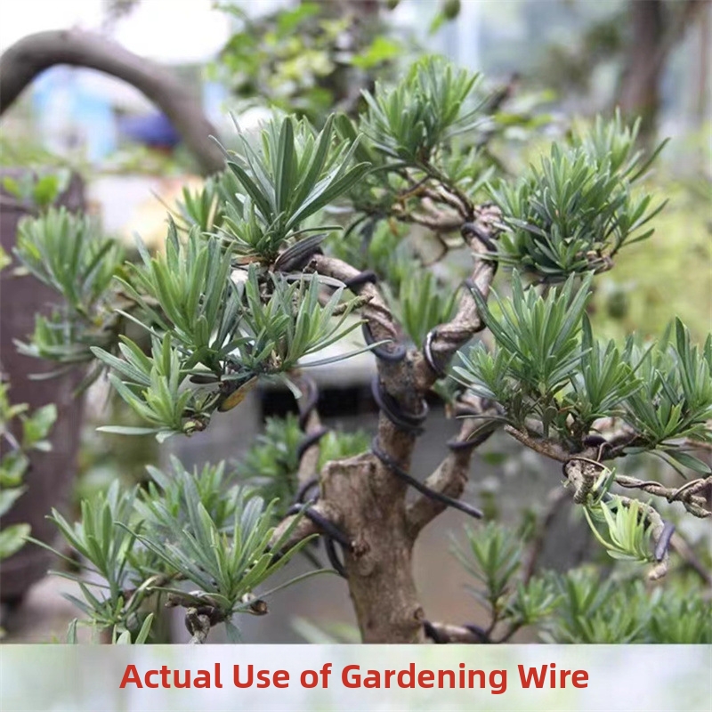 1.5MM Bonsai Wires Aluminum Bo - đánh giá và giá Bonsai Wire Aluminum