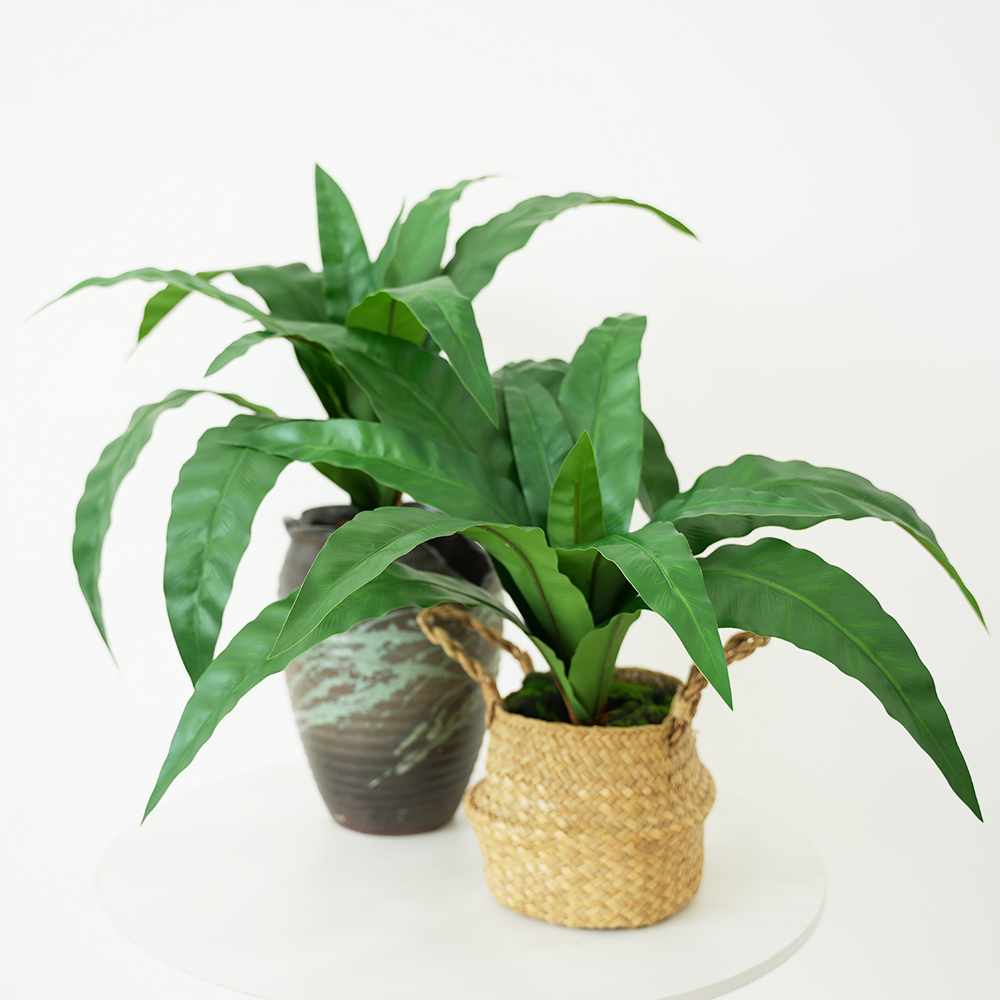 Large Artificial Fern with 12  - đánh giá và giá Bonsai Garden Entrance